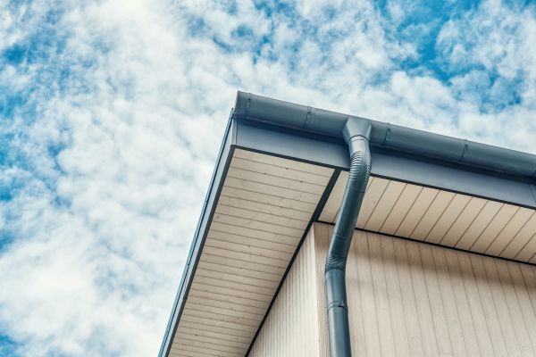 Gutter Fascia Repair in Chester